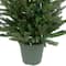 4ft. Pre-Lit Potted Real Touch™ Grande Spruce Artificial Christmas Tree, Clear Lights